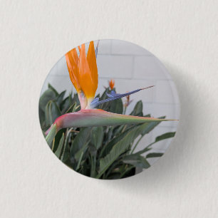Button--Floral Series Bird of Paradi Button