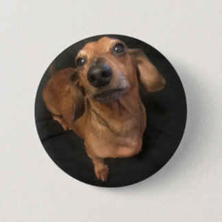 bUTTON mAGNIFICENT mICKEY