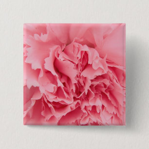 Button Pink Carnation Close Up