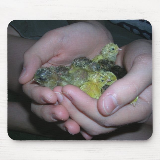 button quail mousepad (Front)