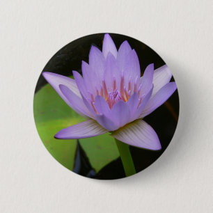 Button, Soft Lavender Water Lily 300 6 Cm Round Badge