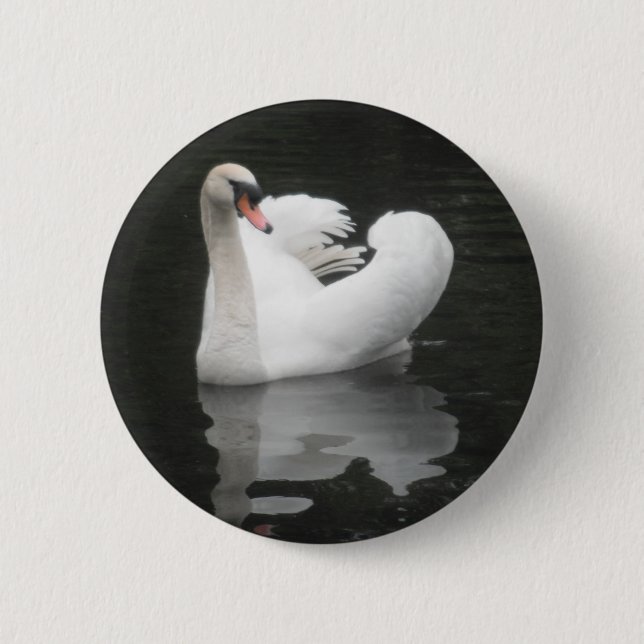 Button Swan Swimming (Front)