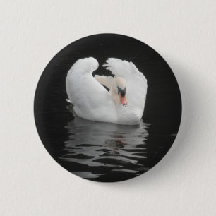Button Swan Swimming