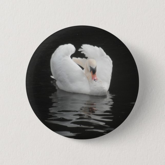 Button Swan Swimming (Front)