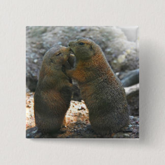 Button  with cute marmot couple