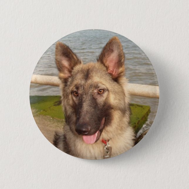Button With German Shepherd (Front)