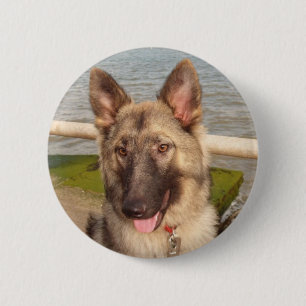 Button With German Shepherd