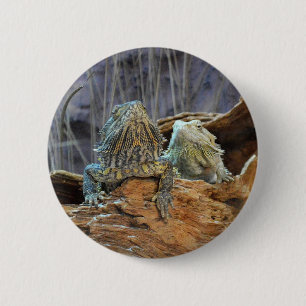 Button with two curious lizards