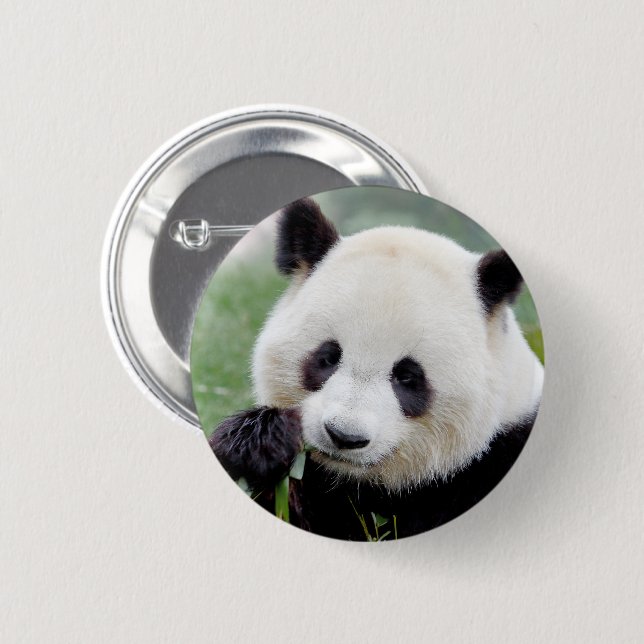 Buttons giant panda. Gang geant. (Front & Back)