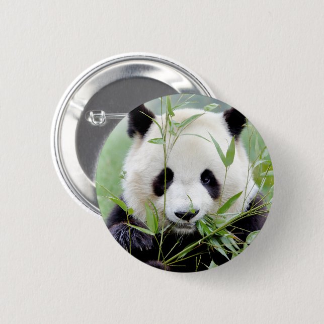Buttons giant panda. Panda geant. (Front & Back)