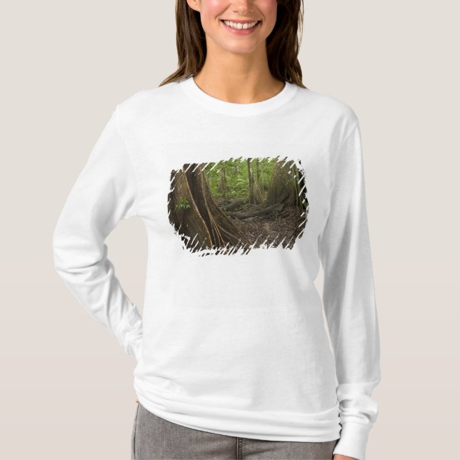 Buttress Roots. Rainforest, Mapari Rupununi, 2 T-Shirt (Front)