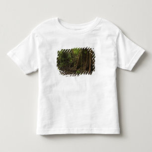 Buttress Roots. Rainforest, Mapari Rupununi, Toddler T-Shirt