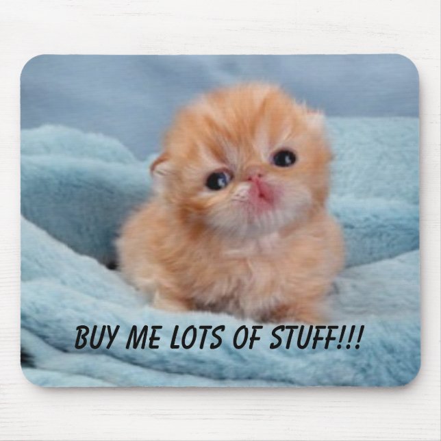Buy for the cute kitten mouse pad (Front)