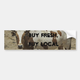 Buy Fresh, Buy Local Bumper Sticker