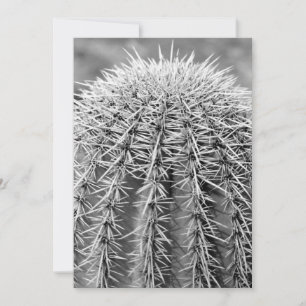 Buzz Cut Cactus (AZ Sonoran Desert) Invite