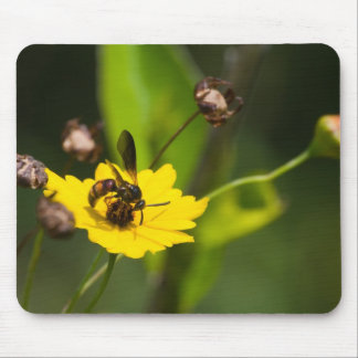 Buzz Mouse Pad
