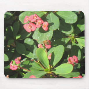 Buzz Off! Mousepad