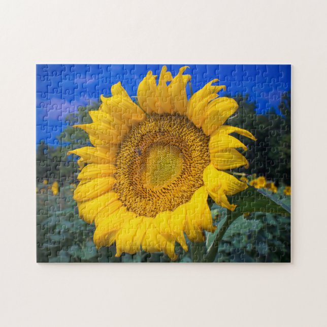 Buzz the Bee in the Sunflower Jigsaw Puzzle (Horizontal)