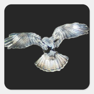 Buzzard Fanned Wings and Tail Landing  Square Sticker