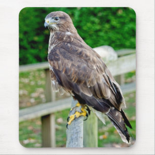 BUZZARD MOUSE MAT