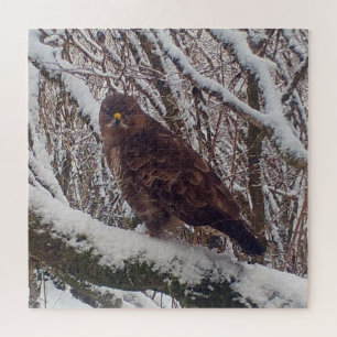 Buzzard on Snowy Branch Jigsaw Puzzle