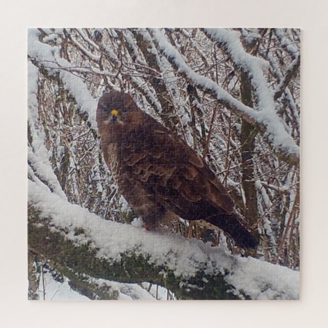 Buzzard on Snowy Branch Winter Woodland  Jigsaw Puzzle (Horizontal)