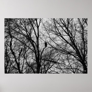 Buzzard Silhouette Poster