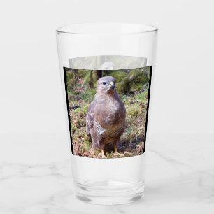 Buzzard Staring Glass