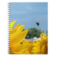 BuZZy Bee Photo