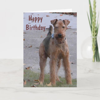 BV- Cute Airedale Birthday Card