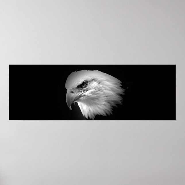 BW American Bald Eagle Print - Panoramic Posters (Front)