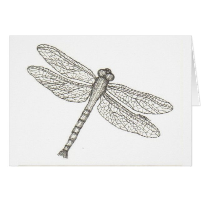 bw_dragonfly05 001 (Front Horizontal)