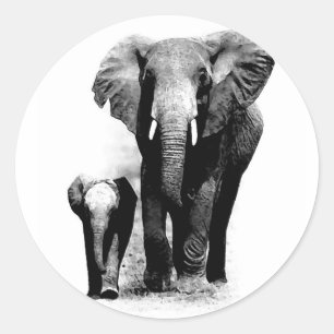 BW Elephant & Baby Elephant Classic Round Sticker