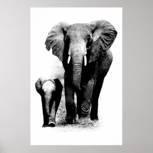 BW Elephant & Baby Elephant Poster
