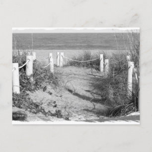 BW Fort Pierce, Florida beach walk dune roped off Postcard