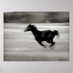 BW Galloping Horse Poster