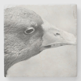 BW Goose Stone Coaster