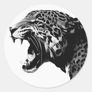 BW Jaguar Classic Round Sticker