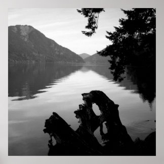 bw lake view 1 poster