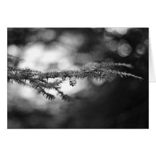 BW Pinecone Card