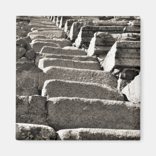 BW Pompeii Ruins VI Magnet