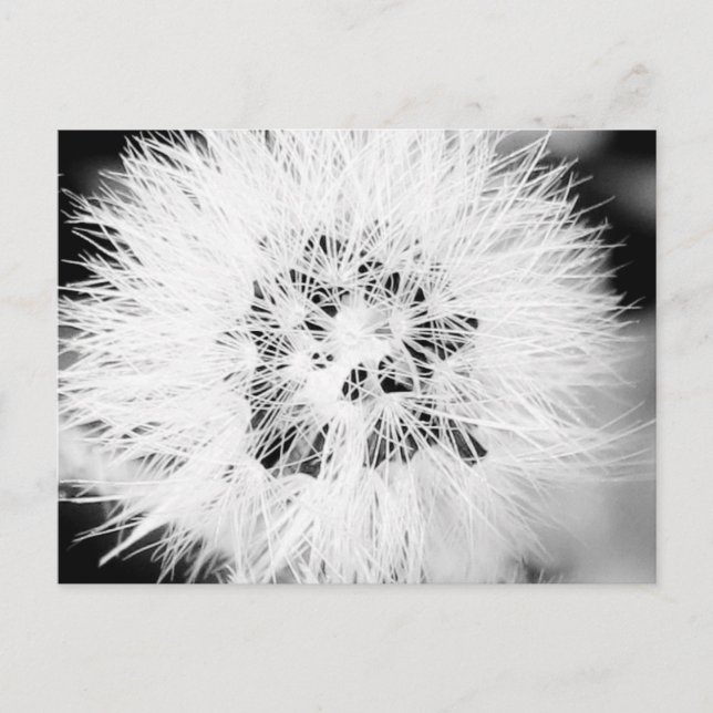 bw * postcard (Front)