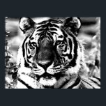 BW Tiger Poster Print Pop Art Style Tigers Posters<br><div class="desc">Face of Siberian Tiger Posters Prints - Motivational Courage / Confidence Pop Art Tigers - Yellow Tones Tiger Head / Portrait Digital Animal Artwork - Tiger Eyes Pop Art Image - Head of Tiger - Tiger Portrait - Wild Tigers - Big Cats Digital Images</div>