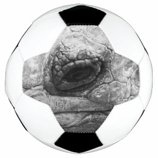 BW Tortoise Soccer Ball