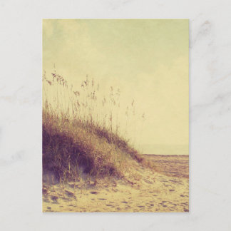 By the Dunes Postcard