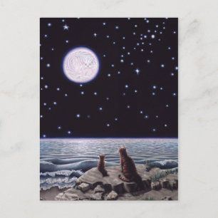 By the Light of the Cat Fish Moon Postcard