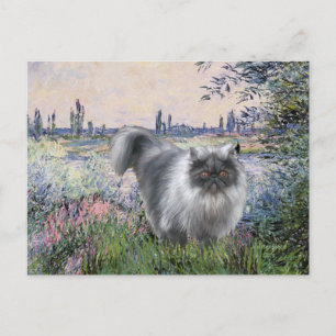 By the Seine - Blue Smoke Persian cat Postcard