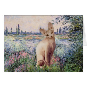 By the Seine - Cream Sphynx cat