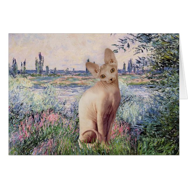 By the Seine - Cream Sphynx cat (Front Horizontal)