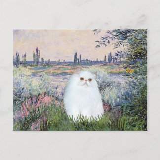 By the Seine - White Persian kitten #49 Postcard